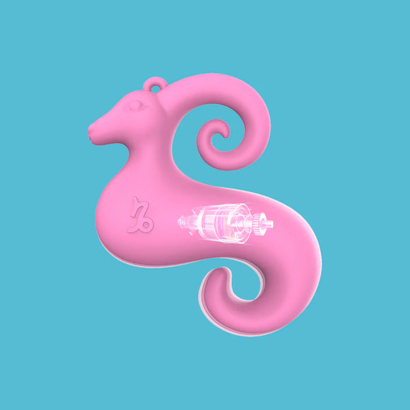 Capricorn ♑️ Vibrator