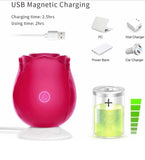 Ms. Pleasure Red~Rose